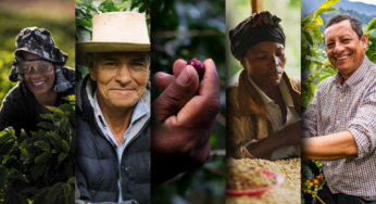 Café justo e regenerativo: 5 negócios de impacto para inspirar transformações no setor