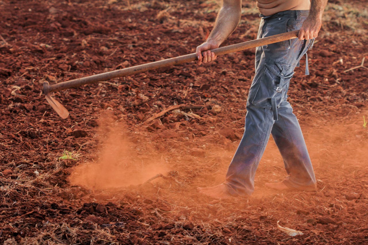 agricultura regenerativa