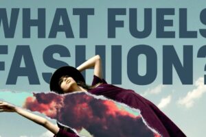 What Fuels Fashion?