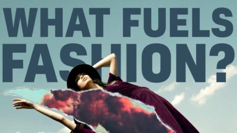 What Fuels Fashion?
