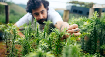 Farol #24 – Cultivando o futuro em um planeta à beira do(s) limite(s)