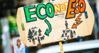 IBGC lança guia para conselheiros sobre novas normas de sustentabilidade corporativa