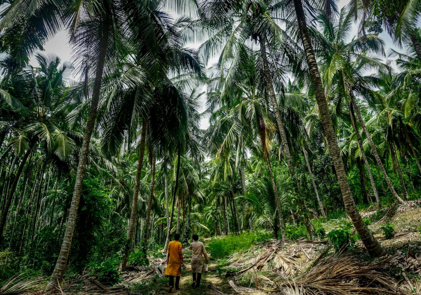 Ciência indígena para proteger o território