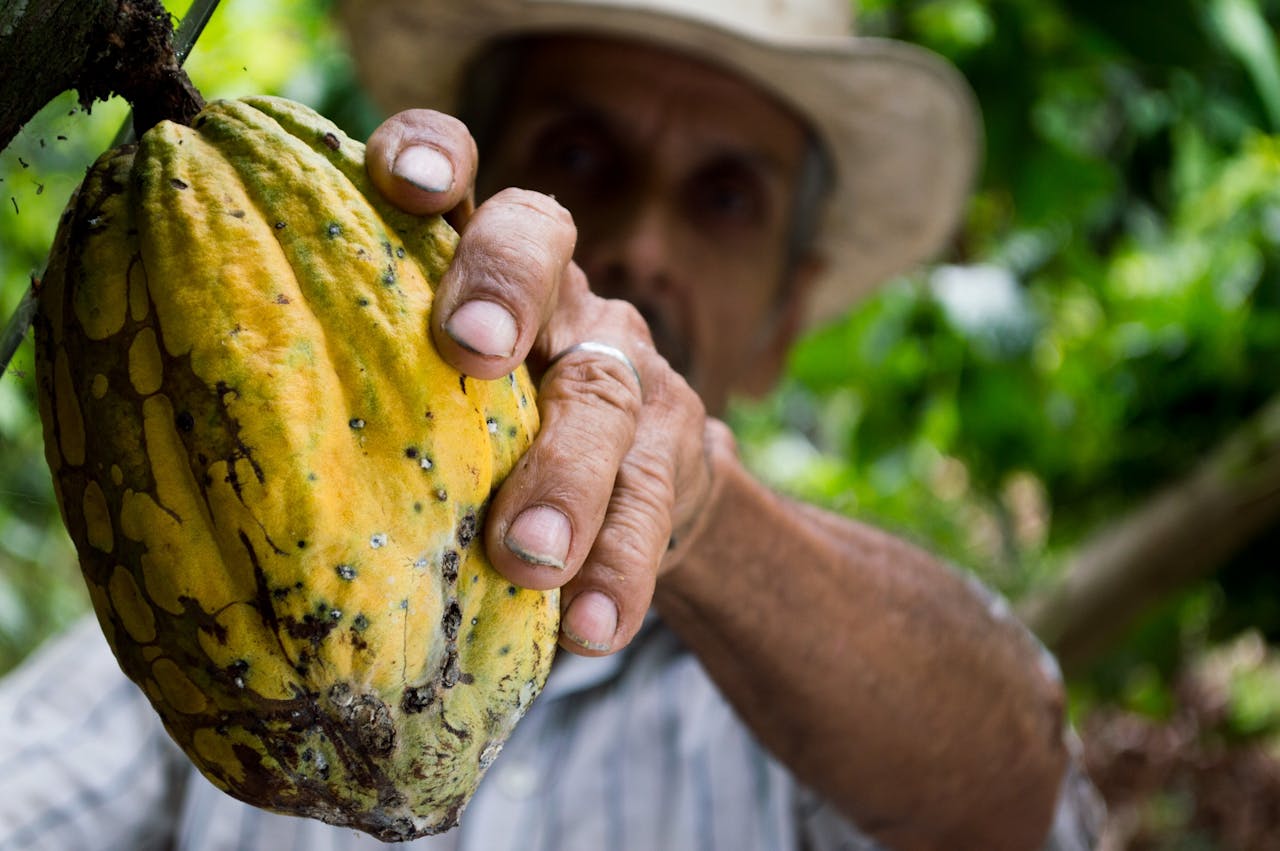 comércio justo fairtrade