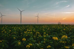 World Energy Outlook 2024