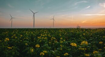 A “era da eletricidade” e os desafios do sistema energético mundial