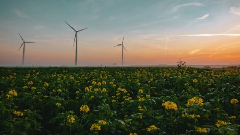 World Energy Outlook 2024