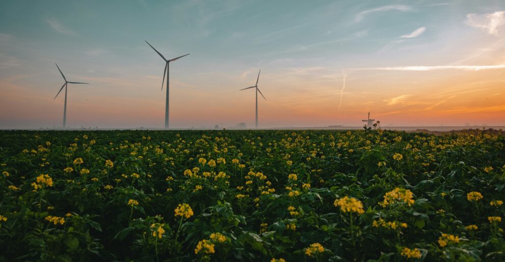 World Energy Outlook 2024