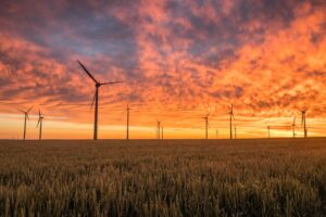 MSCI – Seis tendências de sustentabilidade e clima para 2025