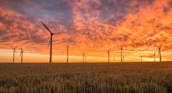 Seis tendências de sustentabilidade e clima para 2025