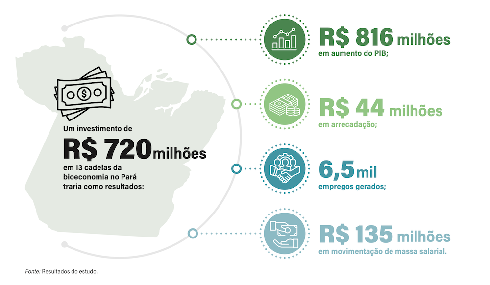 Potencial da bioeconomia no Pará