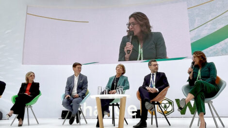 França impõe padrões rígidos para uso de créditos de carbono