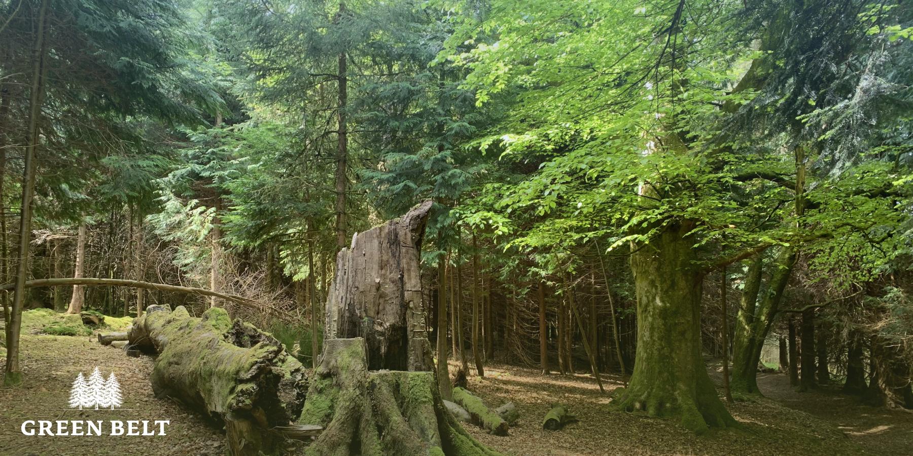 Green Belt Ecosystems