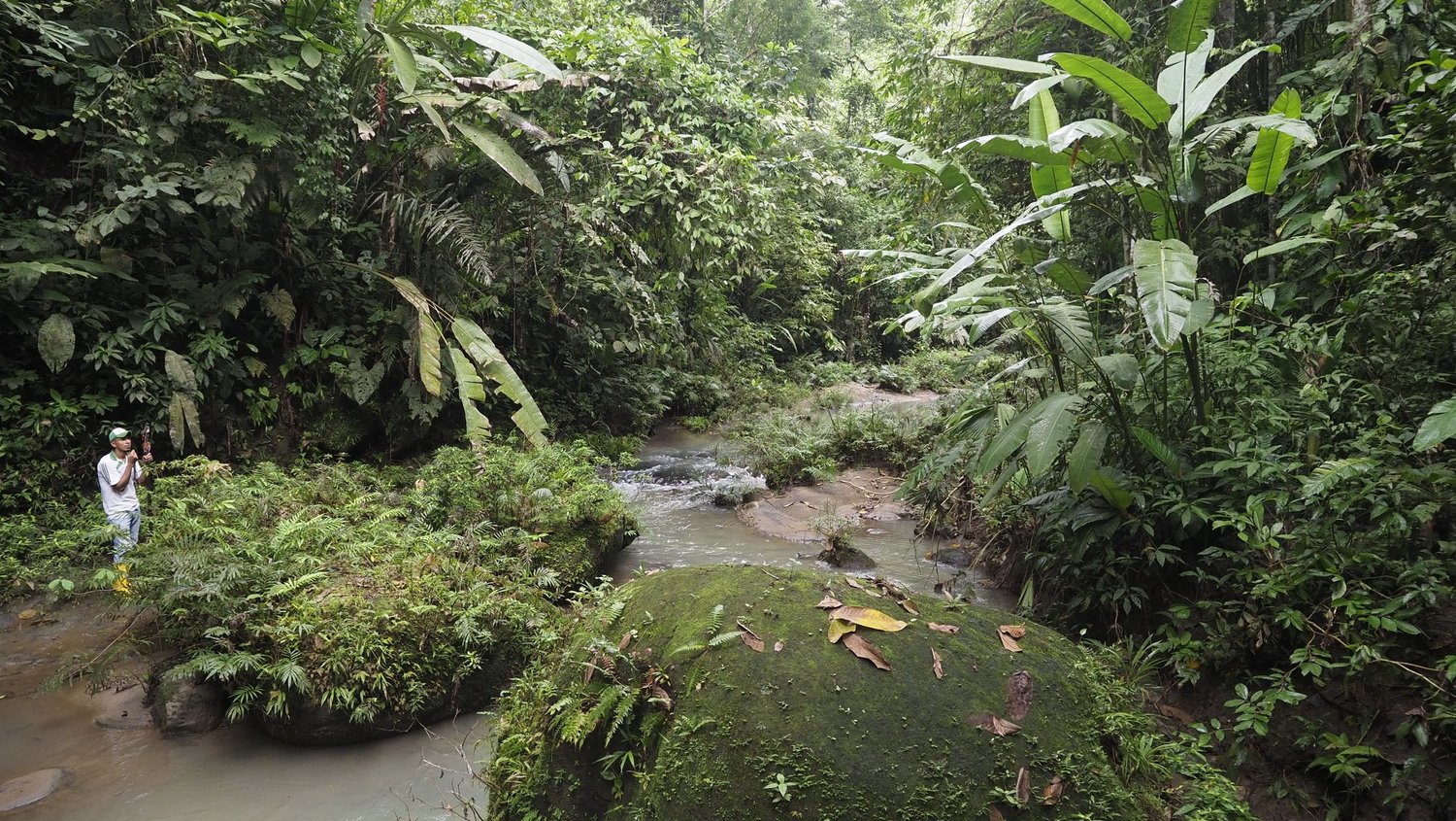 Green Sanctuaries – Projeto Tenka