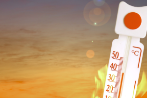 Ondas de calor ficam mais frequentes no Brasil, agravam doenças crônicas e pressionam sistema de saúde