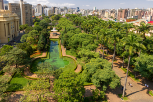 MMA lança guia nacional para arborização urbana adaptada a cada região do país