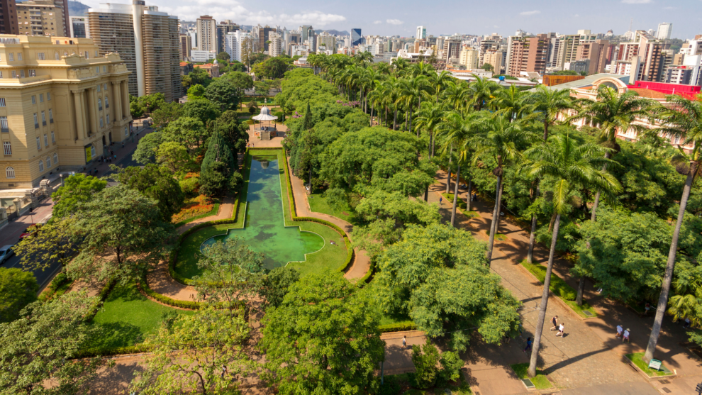 MMA lança guia nacional para arborização urbana adaptada a cada região do país