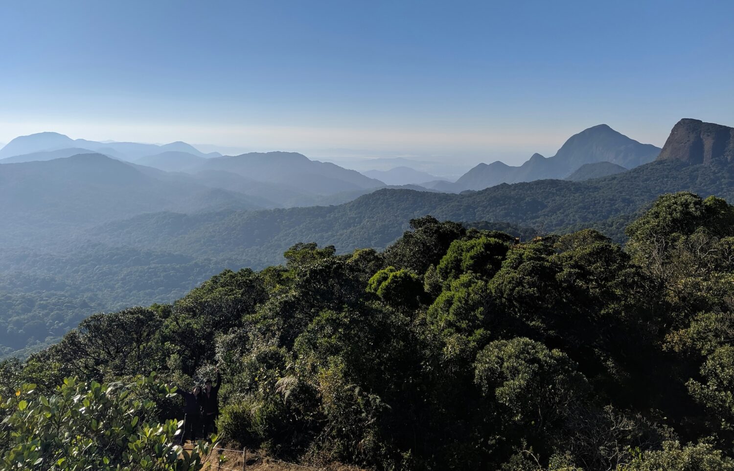 Mata Atlântica tem menor desmatamento da história